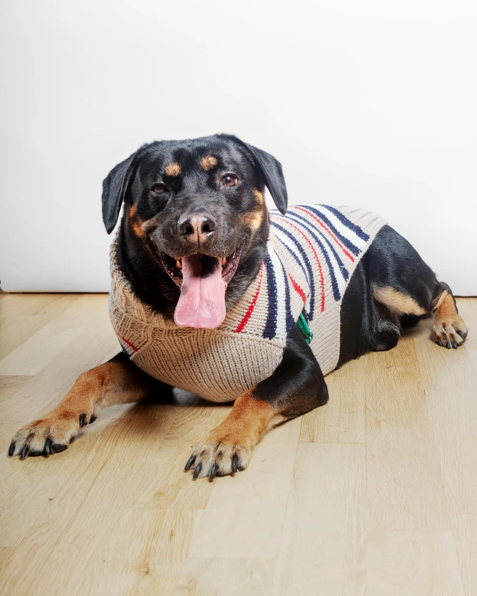 Bentley Alpaca Stripe Wool Dog Sweater (FINAL SALE)