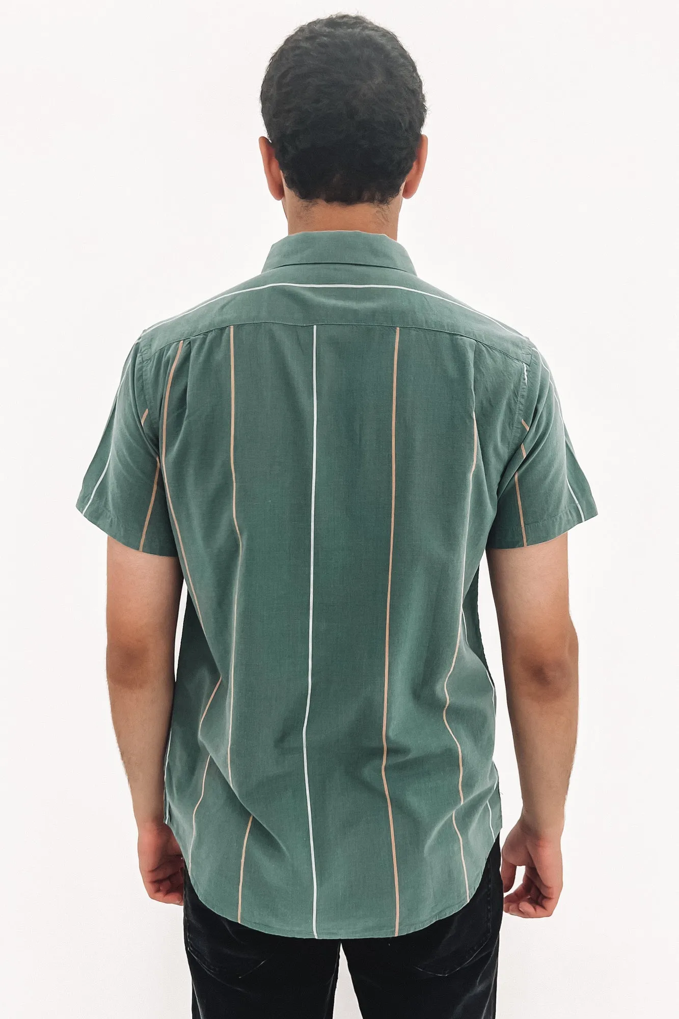 Cassidy Stripe Short Sleeve Shirt Balsam Green