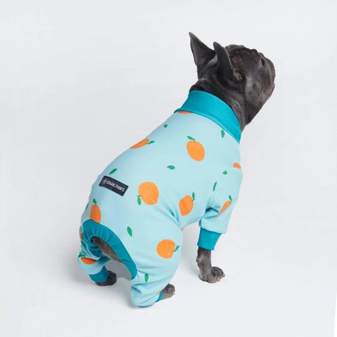 Dog Pajama - Oranges (SIZE S)