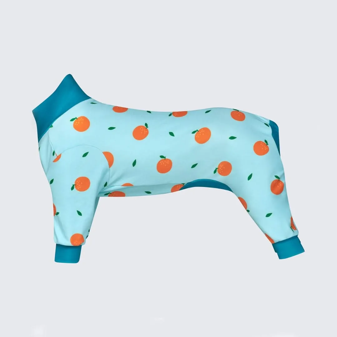 Dog Pajama - Oranges (SIZE S)