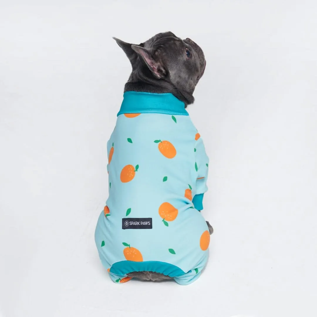 Dog Pajama - Oranges (SIZE S)