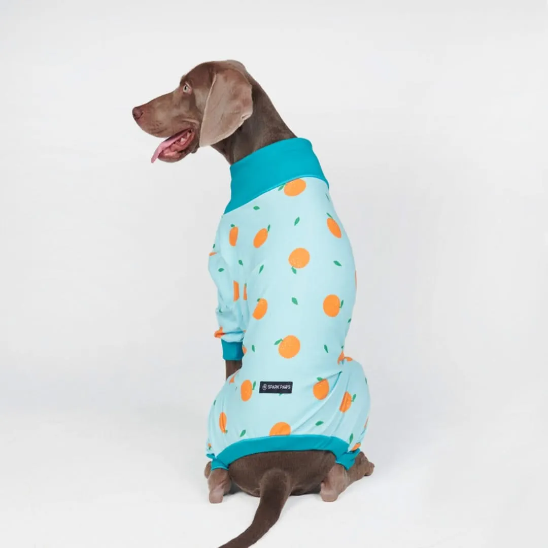 Dog Pajama - Oranges (SIZE S)