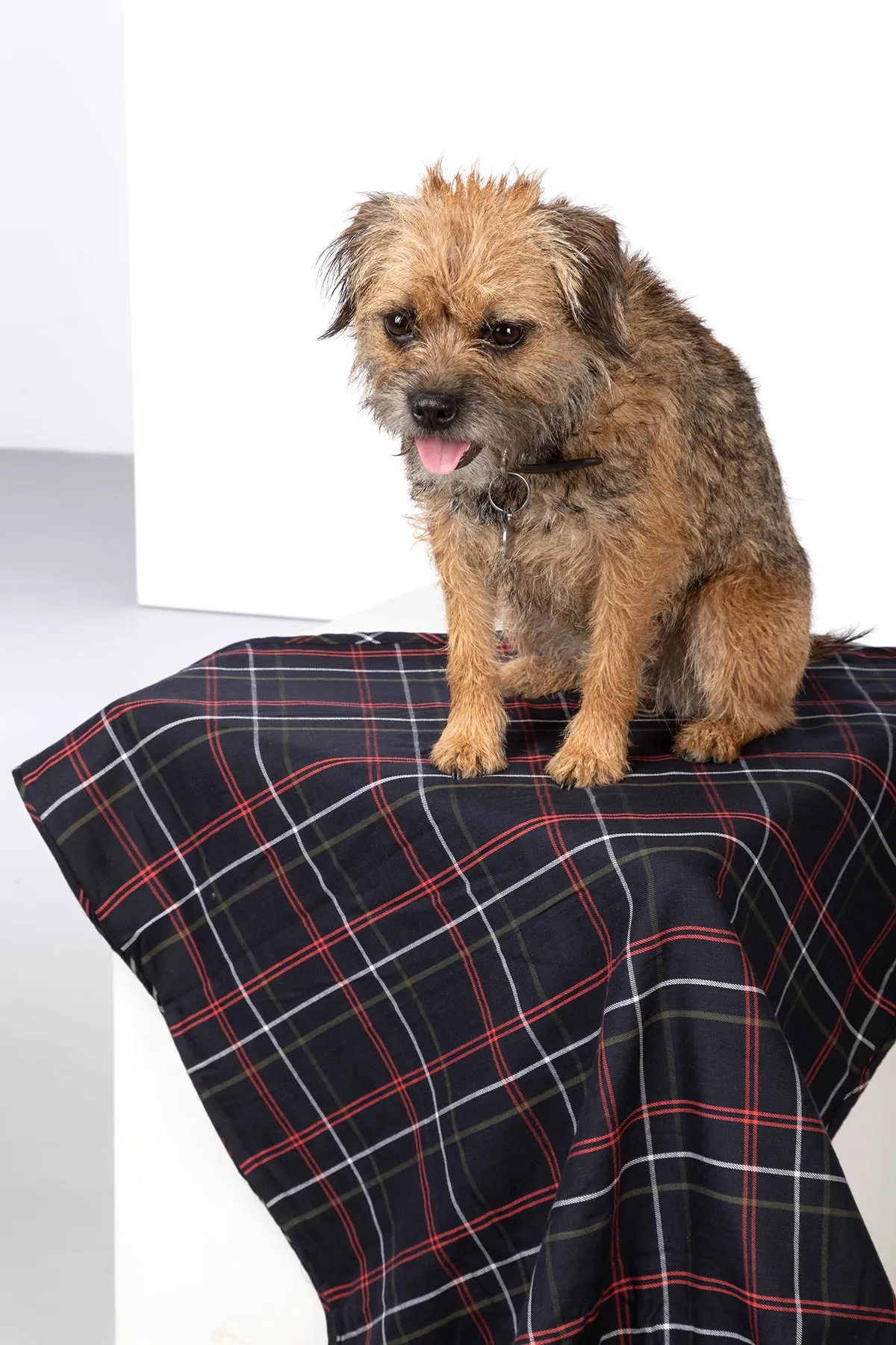 Fleece Dog Blanket - Yapham