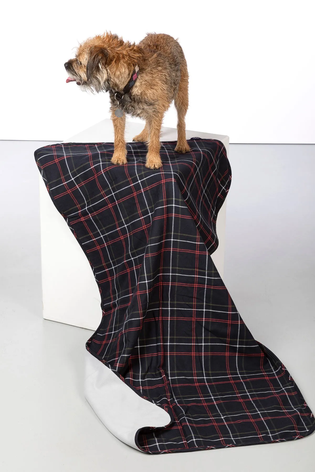 Fleece Dog Blanket - Yapham