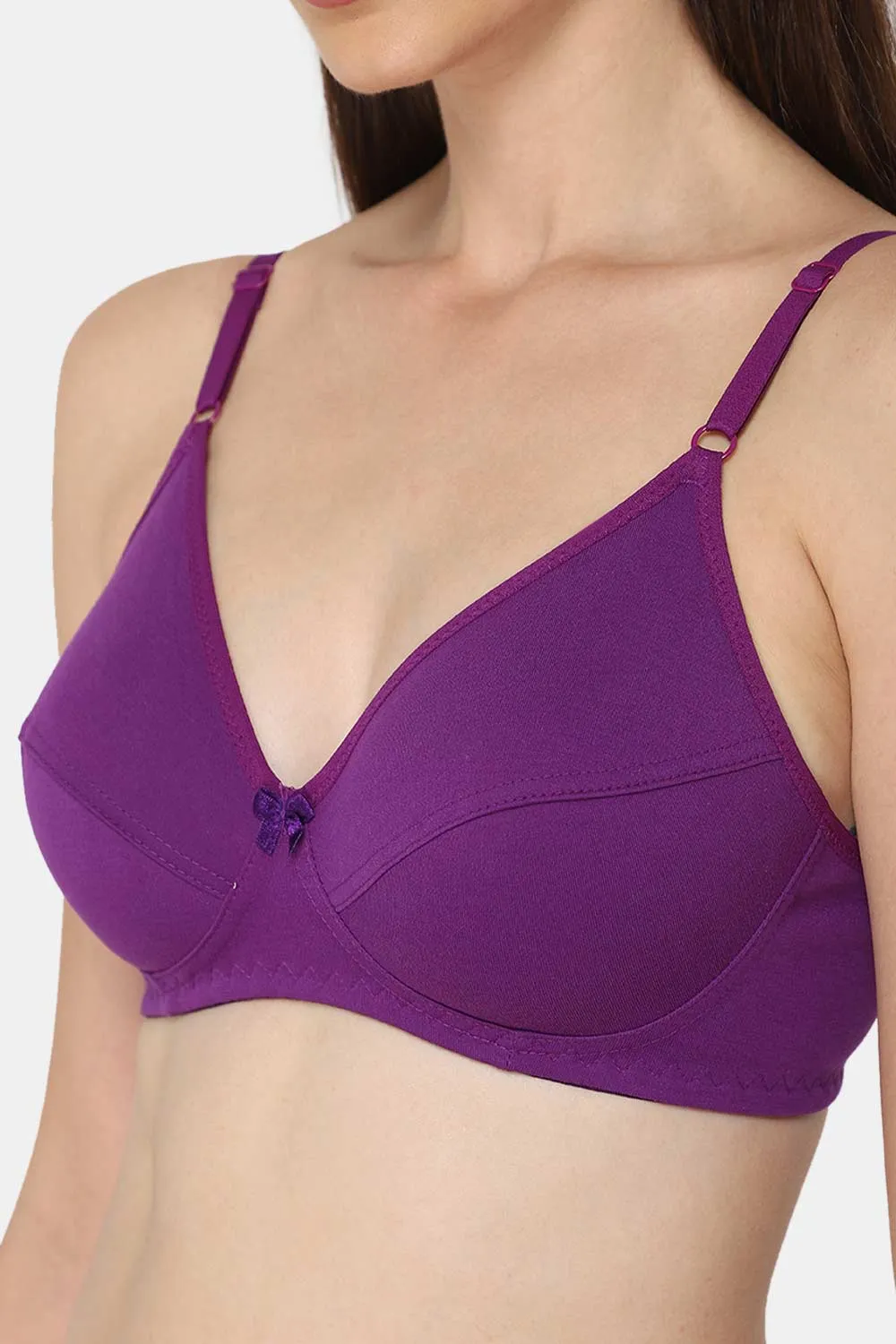 Intimacy Saree Bra Special Combo Pack – Elegant and Comfortable Bras for Saree Wearers (INT05 - C42)